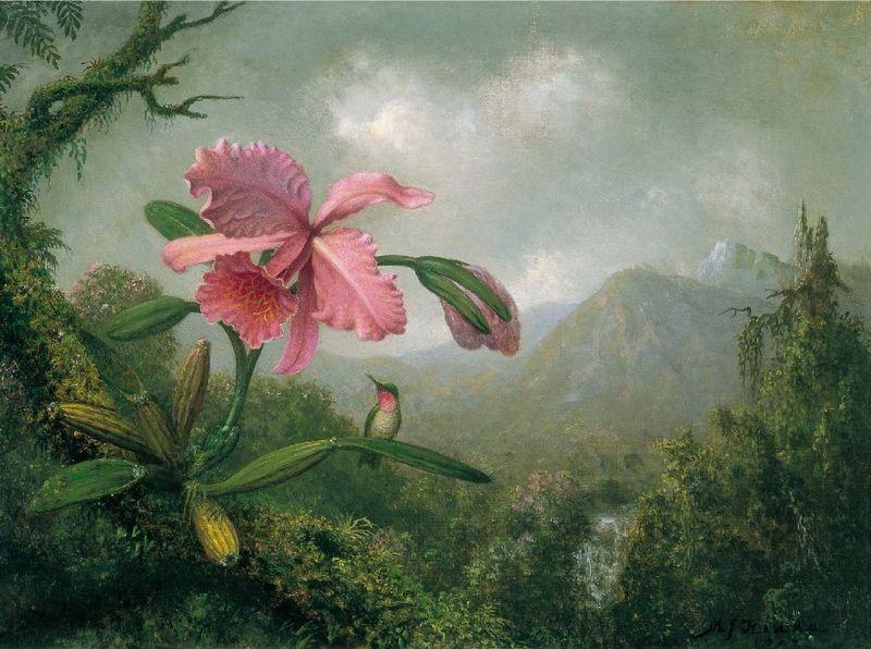 Martin Johnson Heade Orchid and Hummingbird near a Mountain Waterfall oil painting image